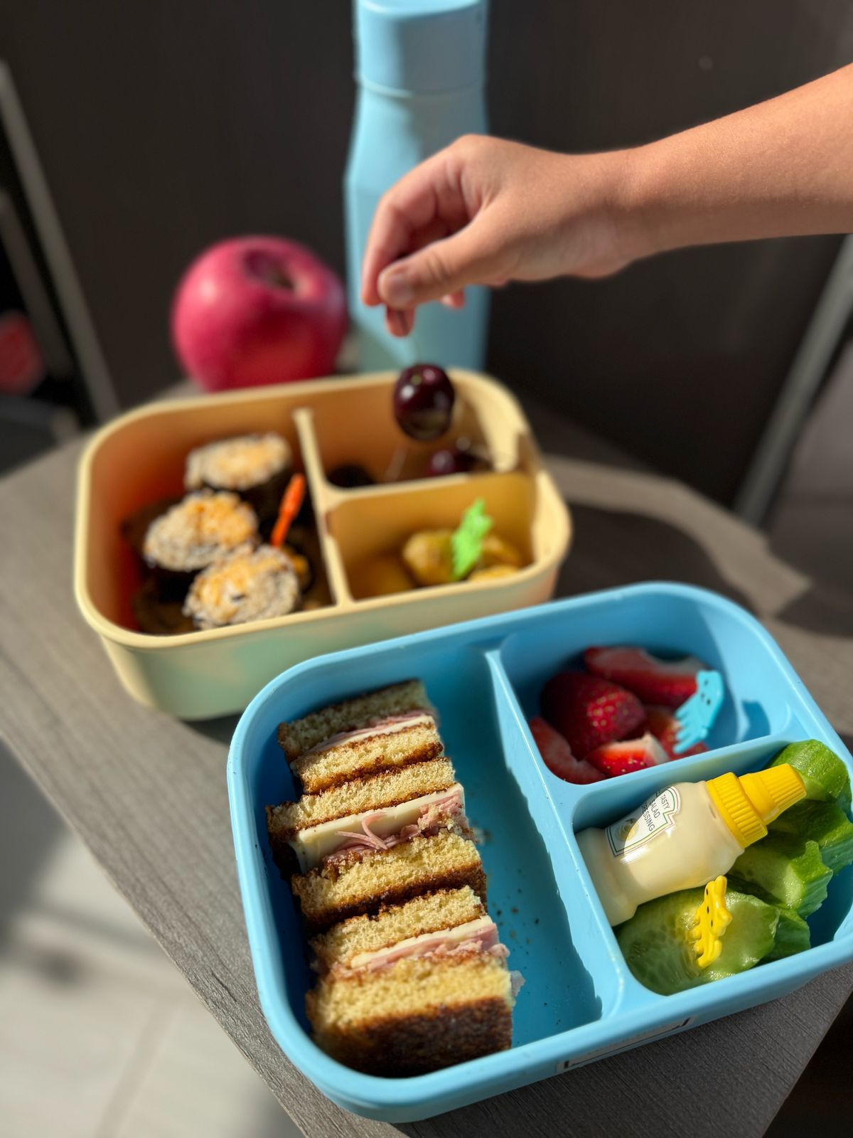 lunch box bento box water bottle